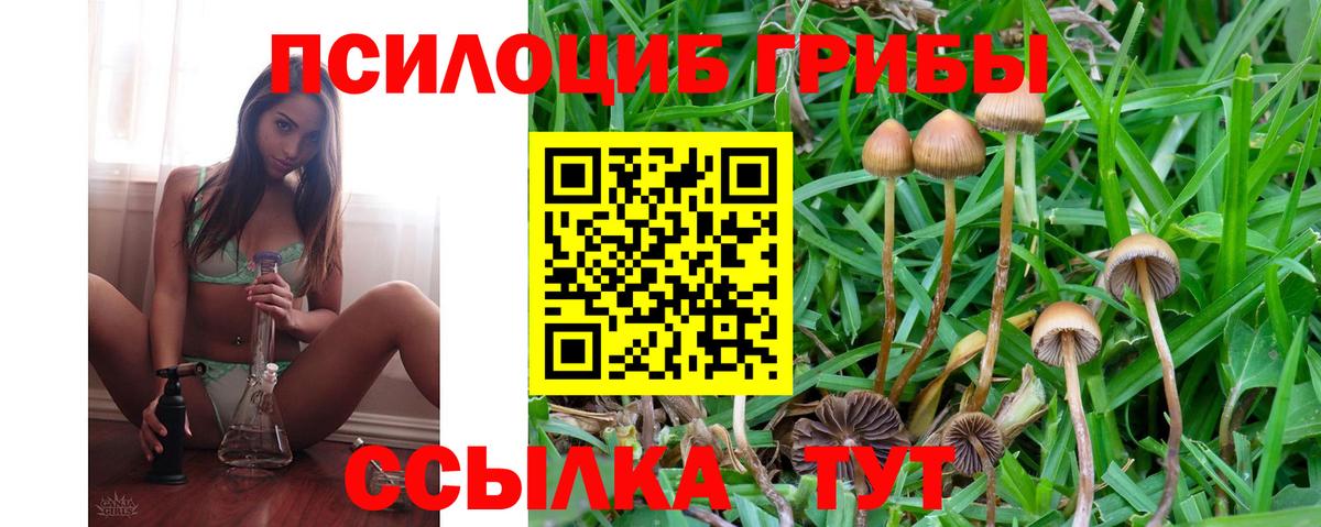 закладка  Псилоцибиновые грибы прущие грибы  Шарыпово  Вход с VPN  Псилоцибиновые грибы ЛСД 